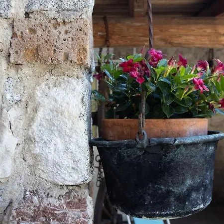 Apartment Casa Rita App 4 *